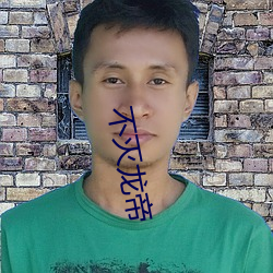 不(bù)灭龙帝