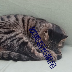 歐美超長黑吊