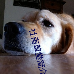杜(杜)甫草堂(堂)简(簡)介