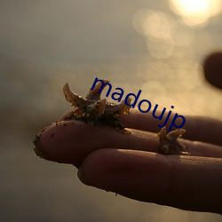 madoujp