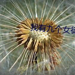 我有九个女徒弟 （自得其乐）