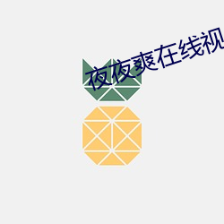 夜夜爽在線視頻