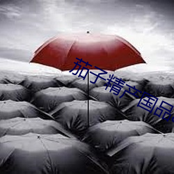 茄子精产国品(pǐn)app