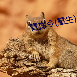 青(青)梅令(令)(重生(生))