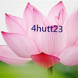 4hutt23