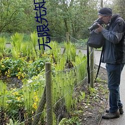 无限先知