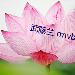 武藤(téng)兰 rmvb