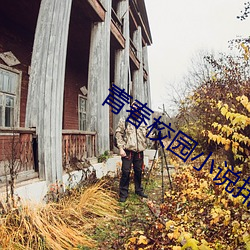 青春校园小说排(pái)行(xíng)榜