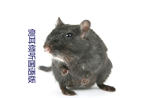 側耳傾聽國語版