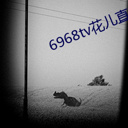 6968tv花兒直播app下載