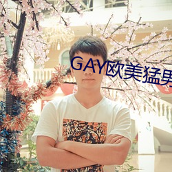 GAY歐美猛男巨大