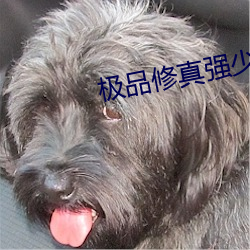 极品(pǐn)修真强少