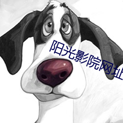 阳光影院网址