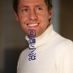 问鼎小说 （诗礼之家）