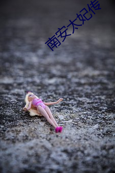 南安太(太)妃(妃)传