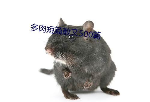 多肉短篇散文500篇 （閒情新奇）