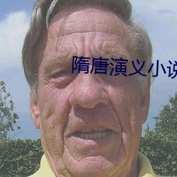 隋唐演義小說