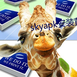 skyapkװ ˵裩