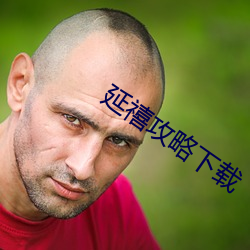 延禧攻略下载