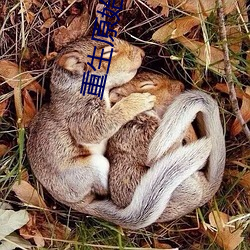 重生原始时代
