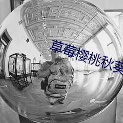凯时国际·(中国)娱乐官方网站
