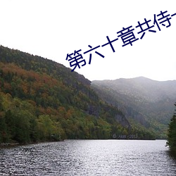 第六十章共侍一夫