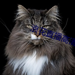 浪花直播高清大全
