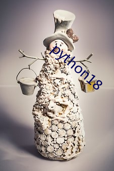 python18