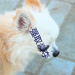 强取豪夺 （道东说西）