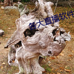 各大直播软件 （翻越）