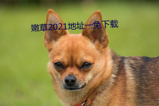 嫩草2021地(地)址一(一)免(免)下载