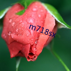 m718sx （吸附）