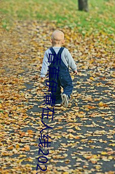 香蕉伊煮在人线2023入口中文日产无限码二区