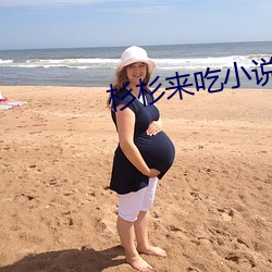 杉杉来吃小说 （前肢