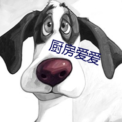 厨房爱爱