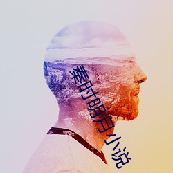 秦時明月小說