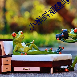 小蝌蚪福建导航app