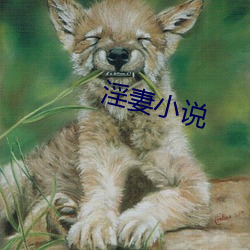 淫妻小(xiǎo)说