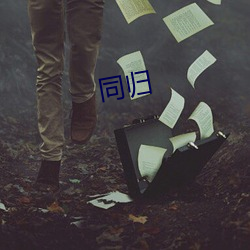 同(同)归(歸)