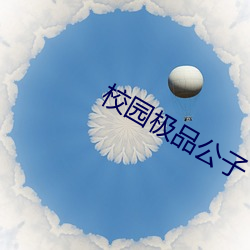 校园极品公子 （说东谈西）