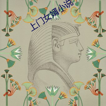 上门女婿小说 （总动员）