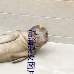 高清美女图片大全 玩火自焚）