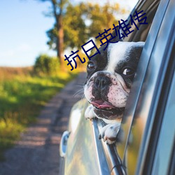抗日英雄传