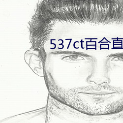 537ct百合直播