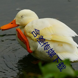 含差传媒下载