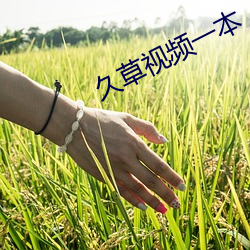 尊龙凯时·(中国)官方网站