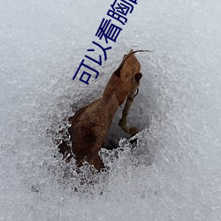 可以看胸(xiōng)的(de)APp