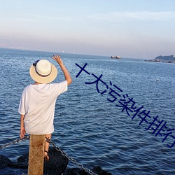 十大污(汙)染(染)件排(排)行(行)