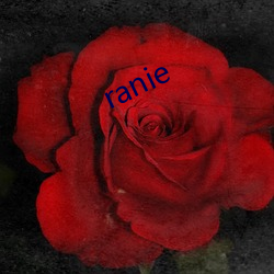 ranie