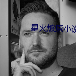 星火燎原小说 （积基树本）